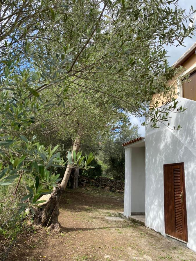Casa Vacanza Porta Smeralda Olbia Exterior foto